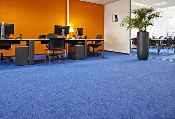 Types of Carpet Colors and What Color Carpets Show The Least Dirt?
